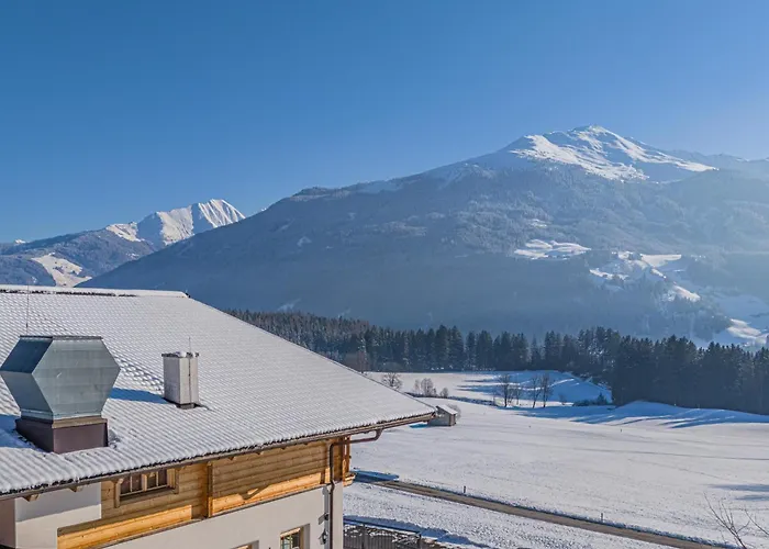 Apartmán Premium Almrausch Hollersbach im Pinzgau